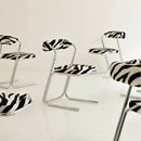 Vintage chrome chairs upholstered in zebra-print velvet