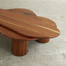 AMOEBA CILINDRO COFFEE TABLE