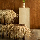 PALAPA STOOLS